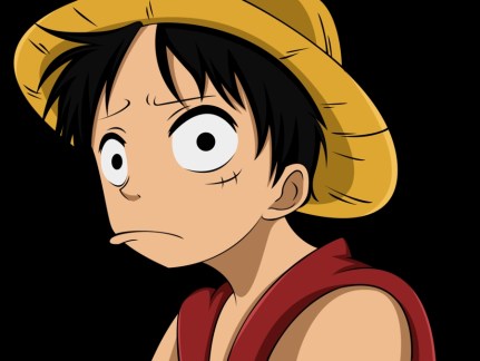 One Piece Luffy~