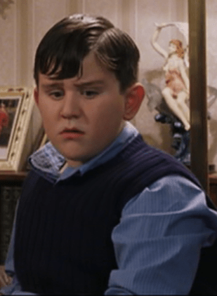 Dudley Dursley009~.png